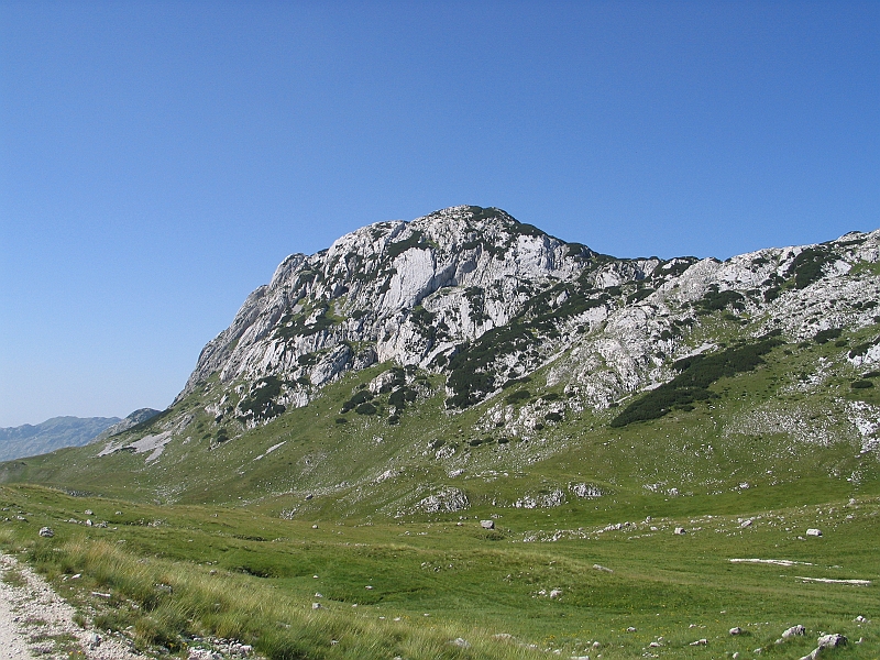 Original image